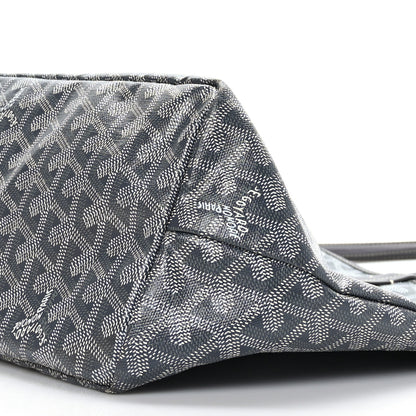 Goyard Goyardine Saint Louis PM Grey 9 of 9