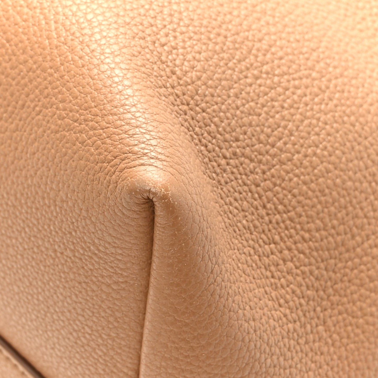 Vitello Phenix Tote Cannella