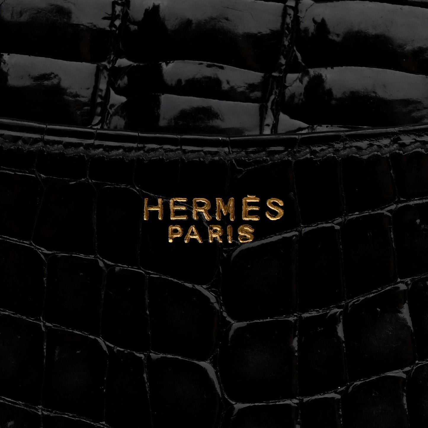 Shiny Crocodile Passport Holder Black