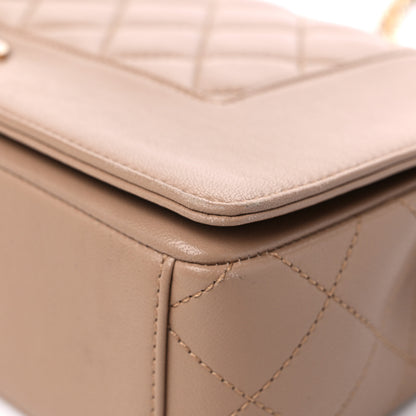 Chanel Sheepskin Quilted Vintage Mademoiselle Flap Beige 9 of 13