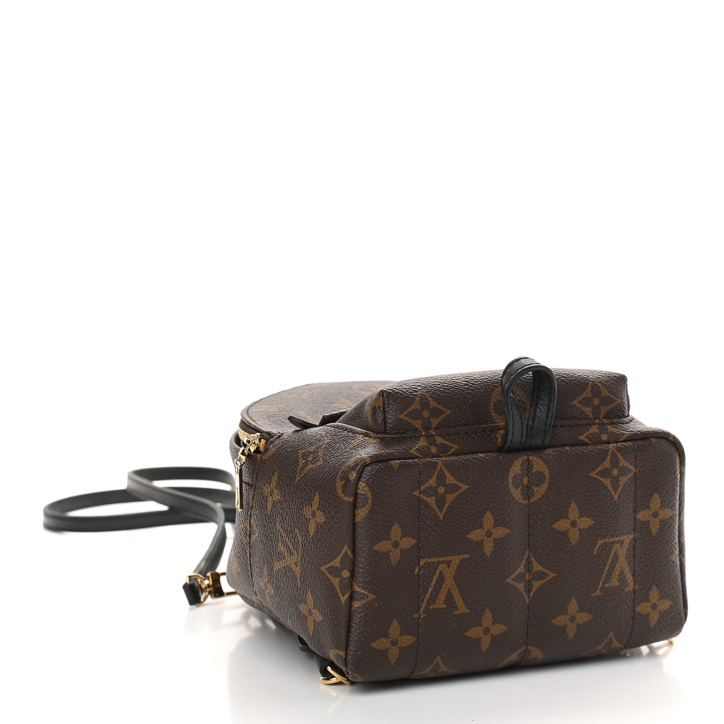 Monogram Palm Springs Backpack Mini