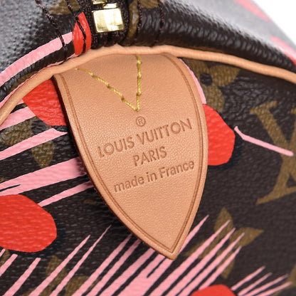 Louis Vuitton Monogram Jungle Dots Speedy 30 Sugar Pink Poppy 6 of 12