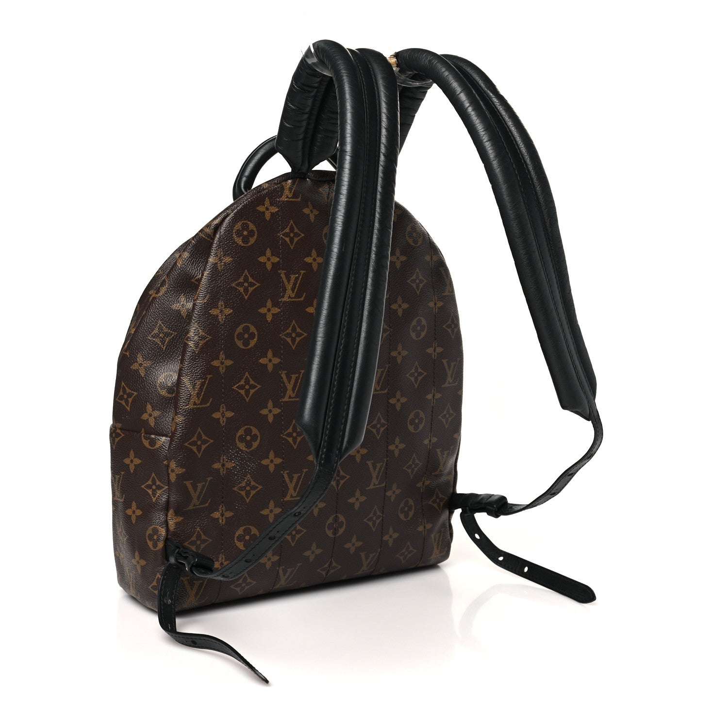 Louis Vuitton Monogram Palm Springs Backpack MM 3 of 13