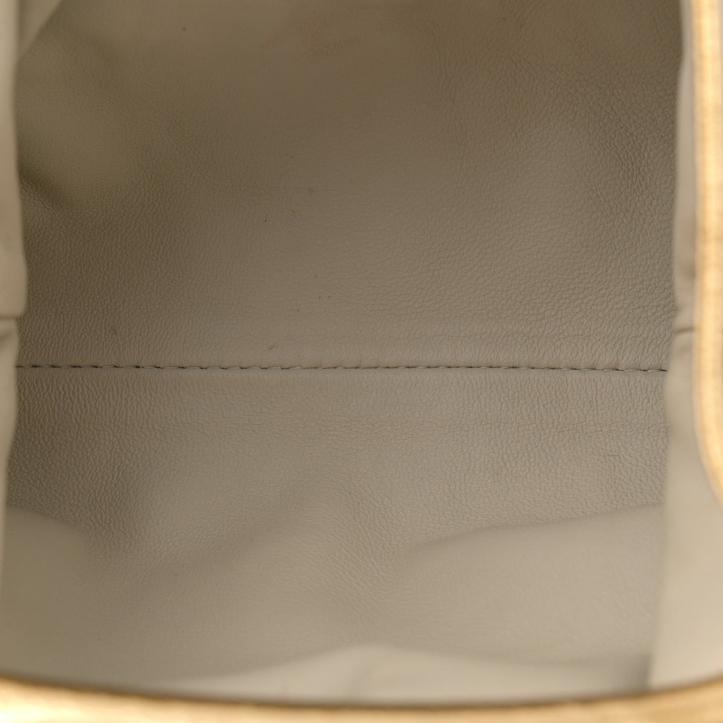 Metallic Crinkled Lambskin The Mini Pouch Oro