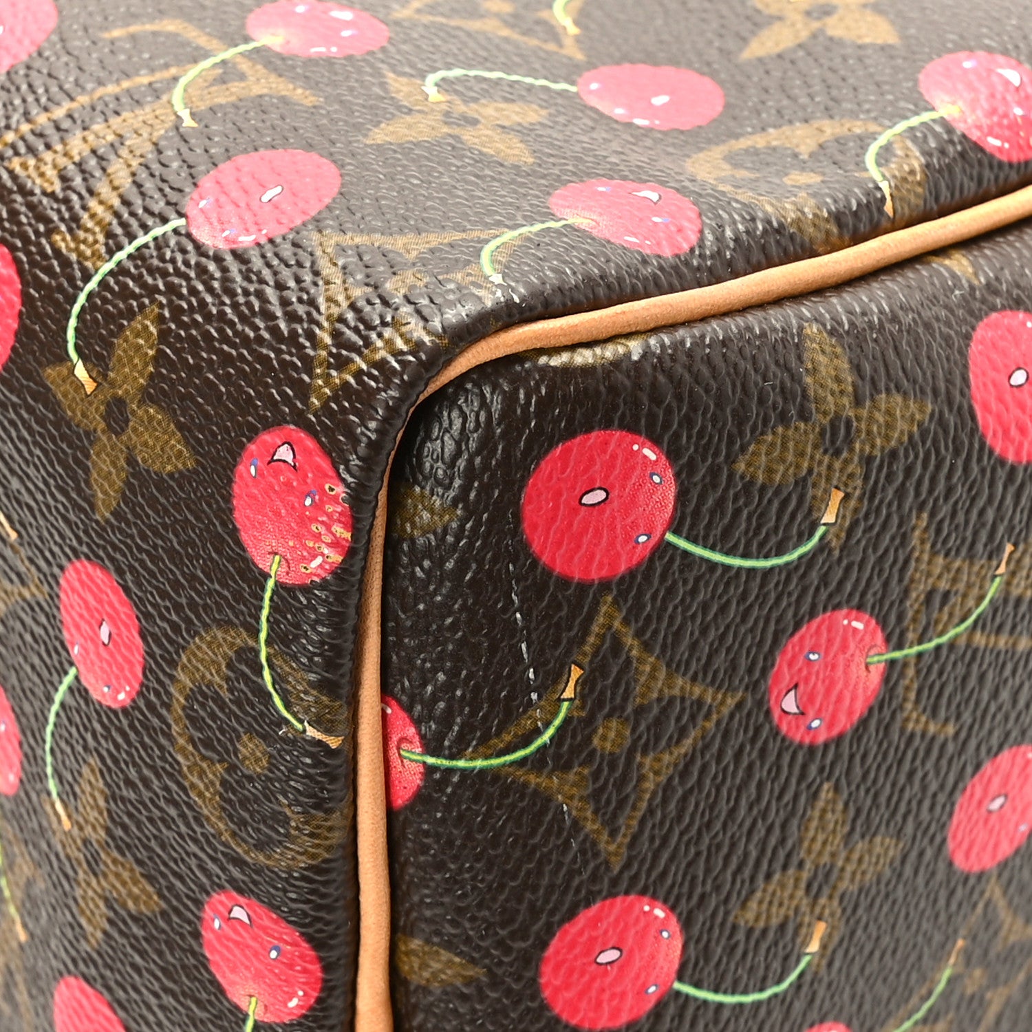 Louis Vuitton Monogram Cerises Speedy 25 11 of 11