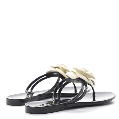 Chanel Jelly Camellia Thong Sandals 35 Black Ivory 4 of 9