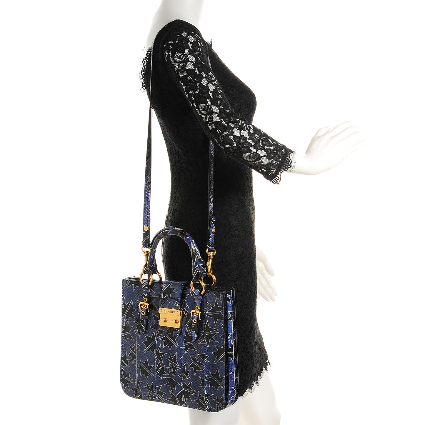 Hand Painted Ayers Watersnake Shopping Tote