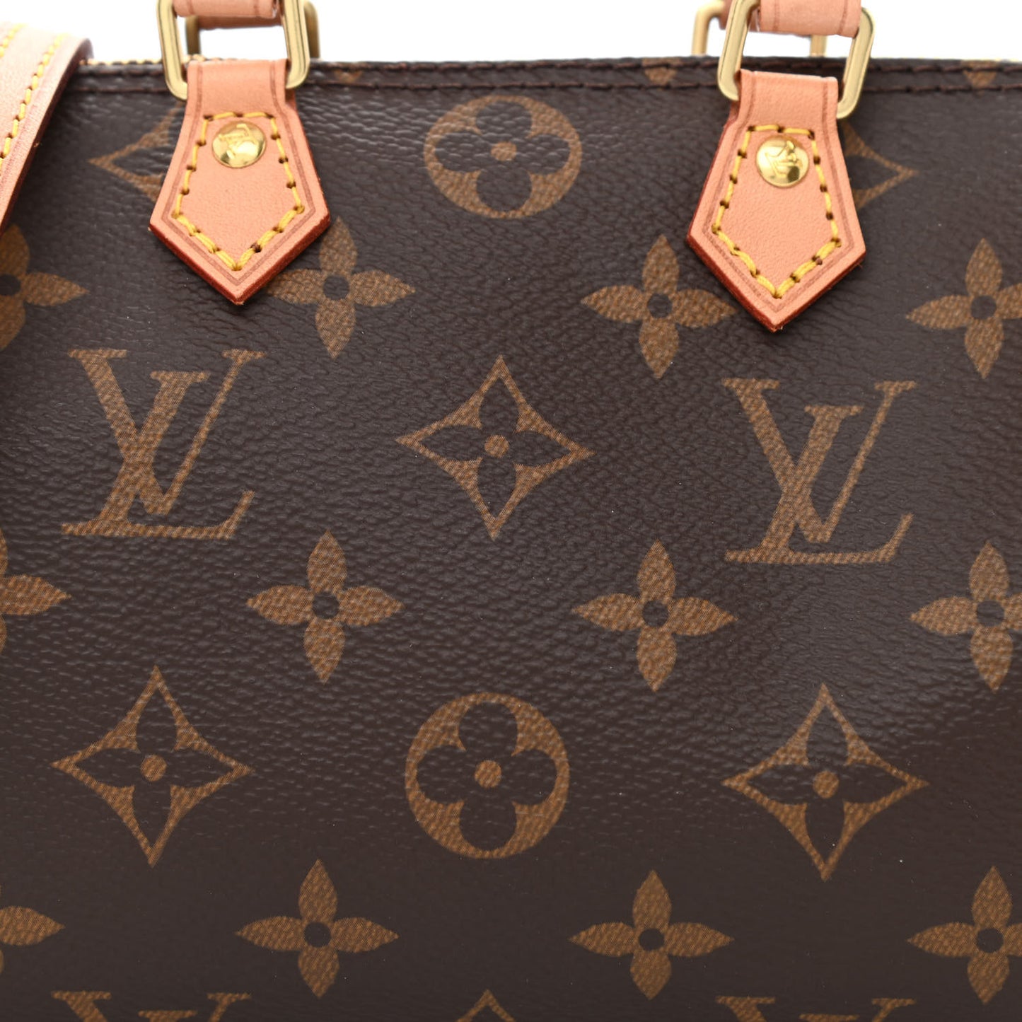Monogram Nano Speedy