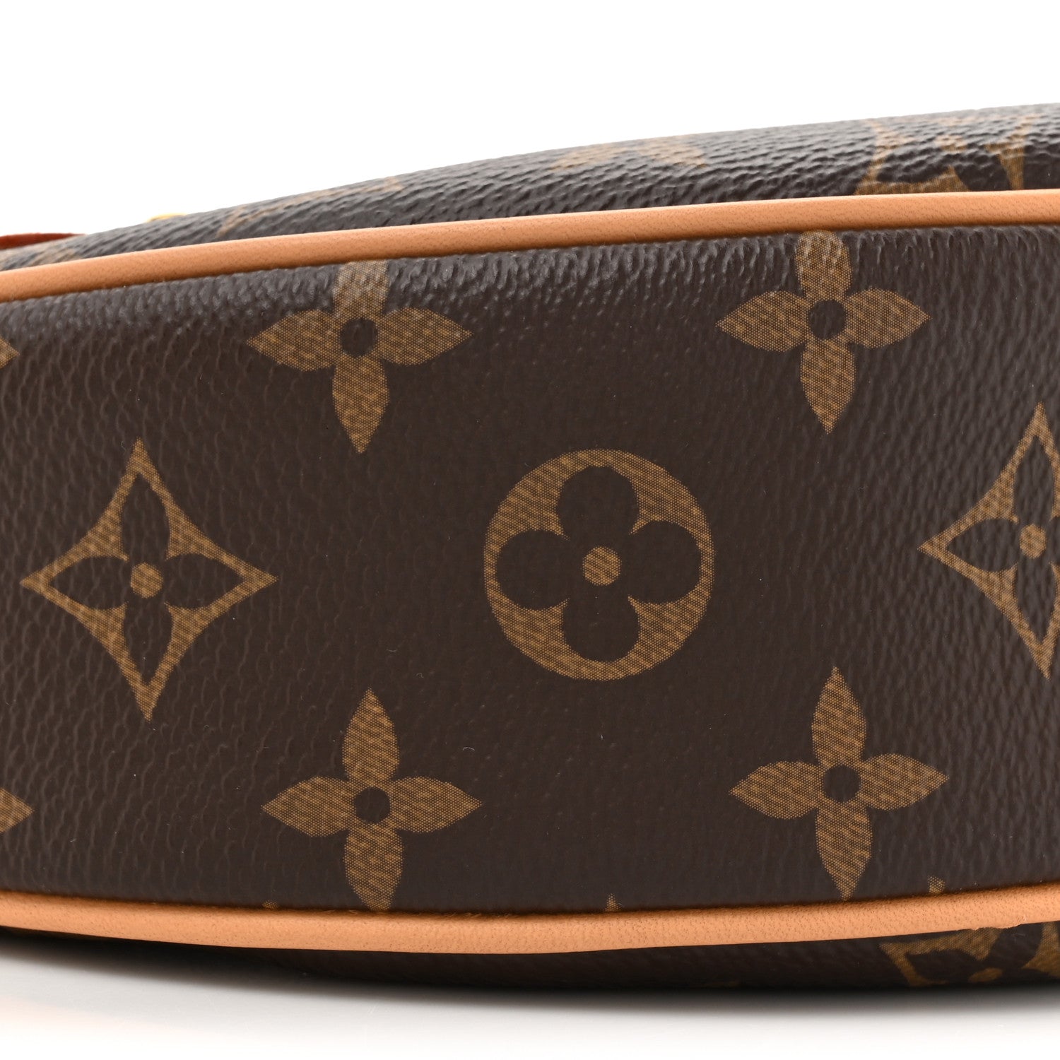 Louis Vuitton Monogram Loop 9 of 9