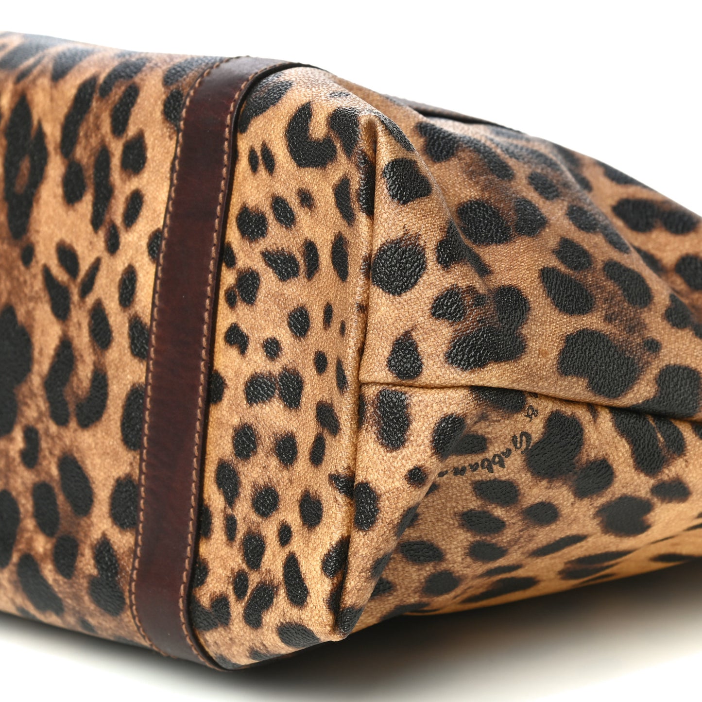 Coated Canvas Leopard Print Tote