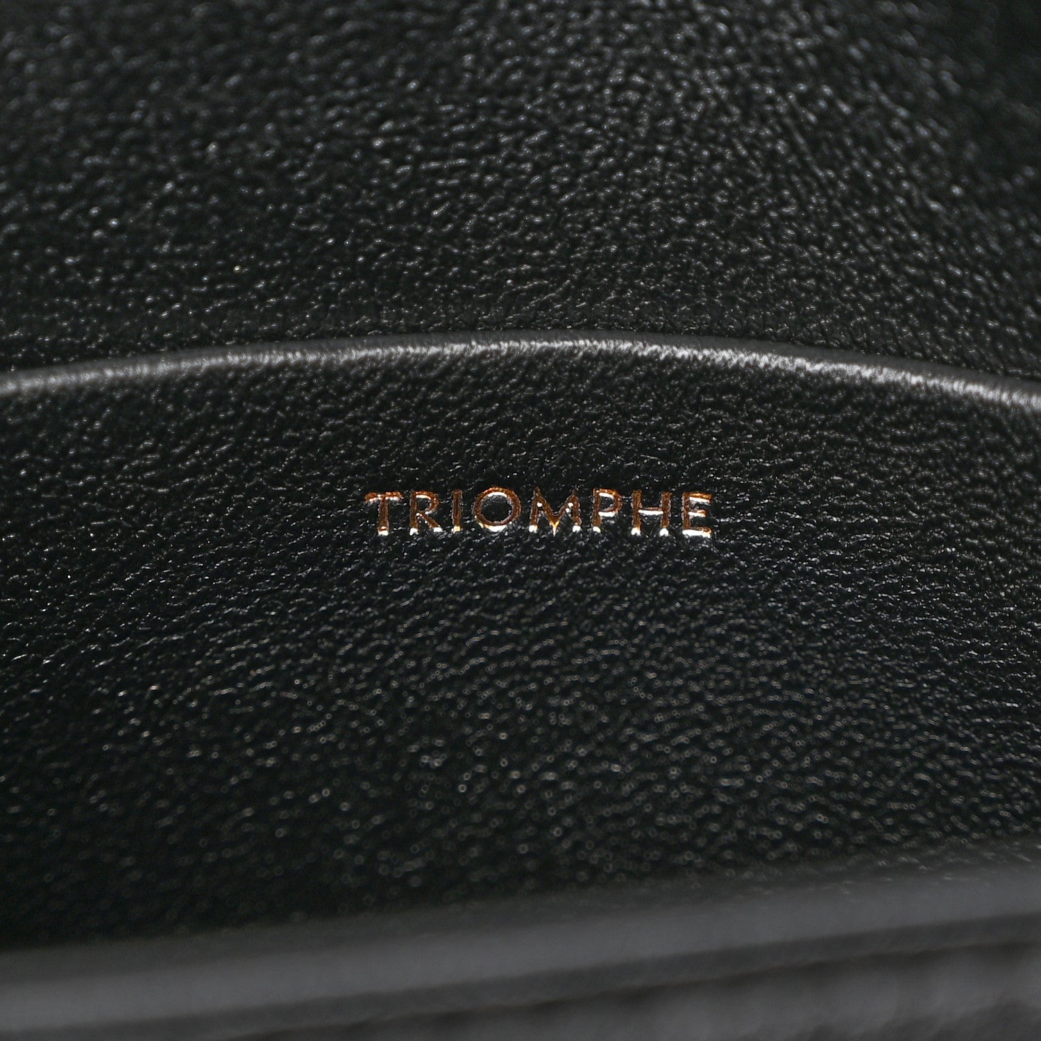Celine Shiny Calfskin Teen Triomphe Black 7 of 15
