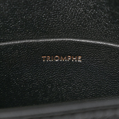 Celine Shiny Calfskin Teen Triomphe Black 7 of 15