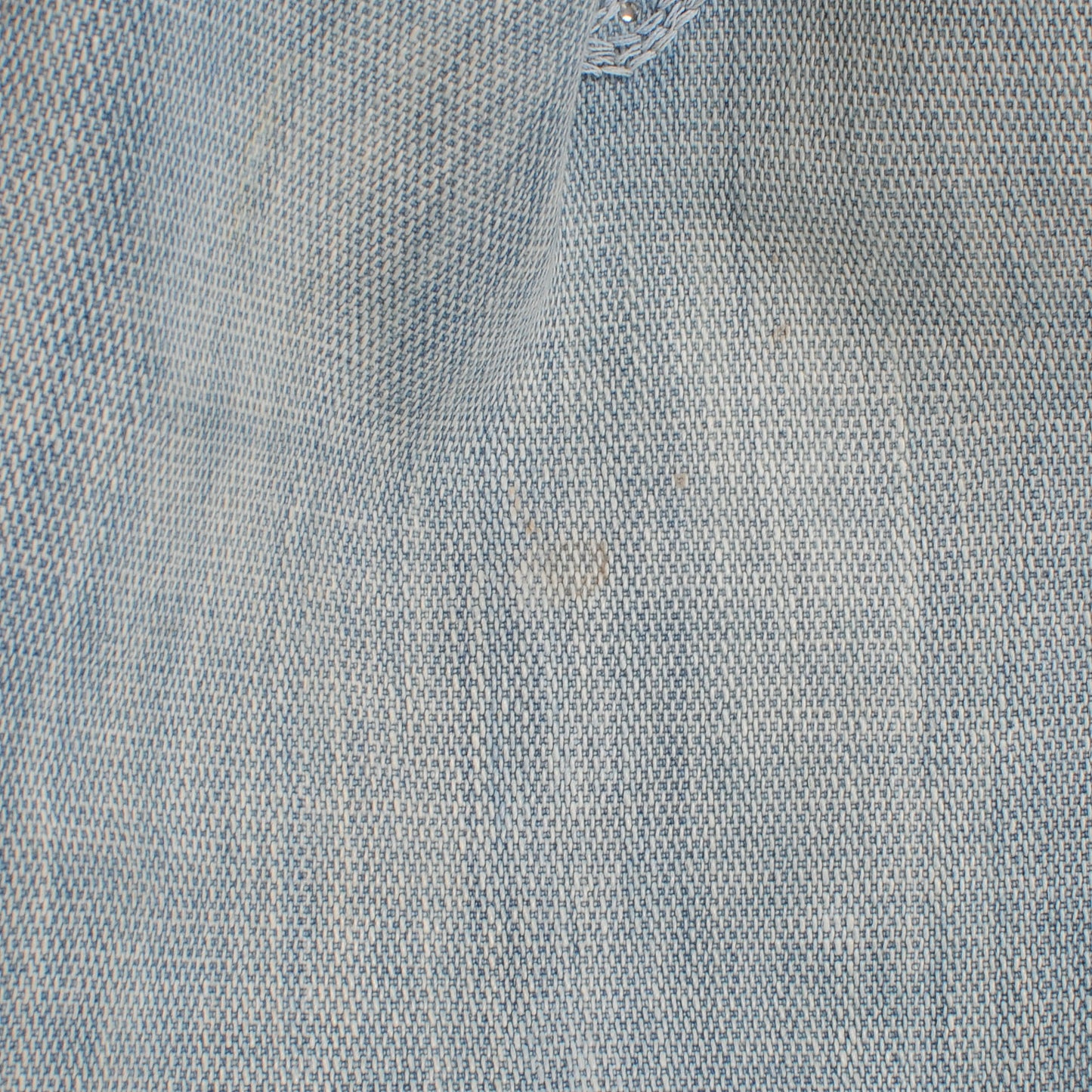 Denim Squirrel Embroidered Spy Blue