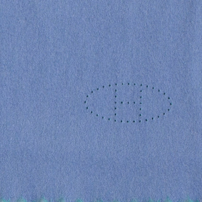 Hermes Cashmere Reversible Evelyne Scarf Bleu Ciel and Vert Menthe 1 of 6
