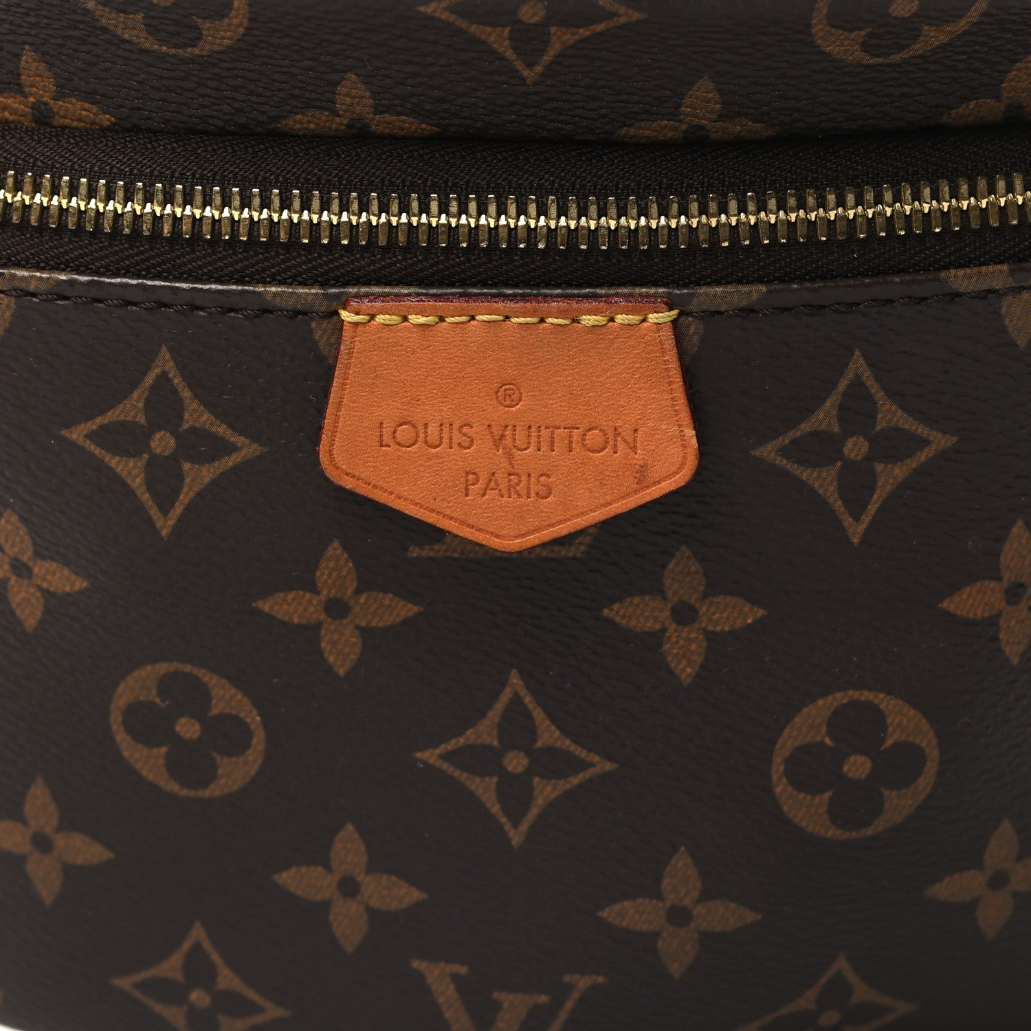 Louis Vuitton Monogram Bumbag 7 of 10