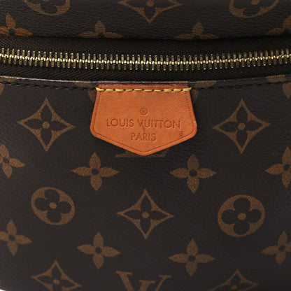 Louis Vuitton Monogram Bumbag 7 of 10