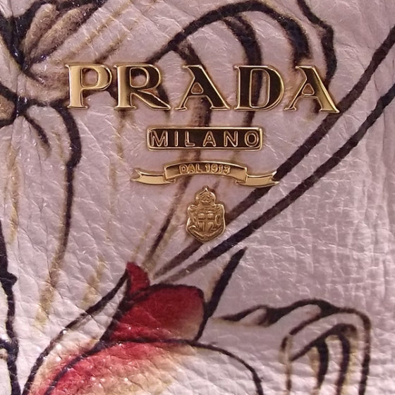 Prada X JAMES JEAN Cervo Lux Fairy Print Hobo Prugna 7 of 10