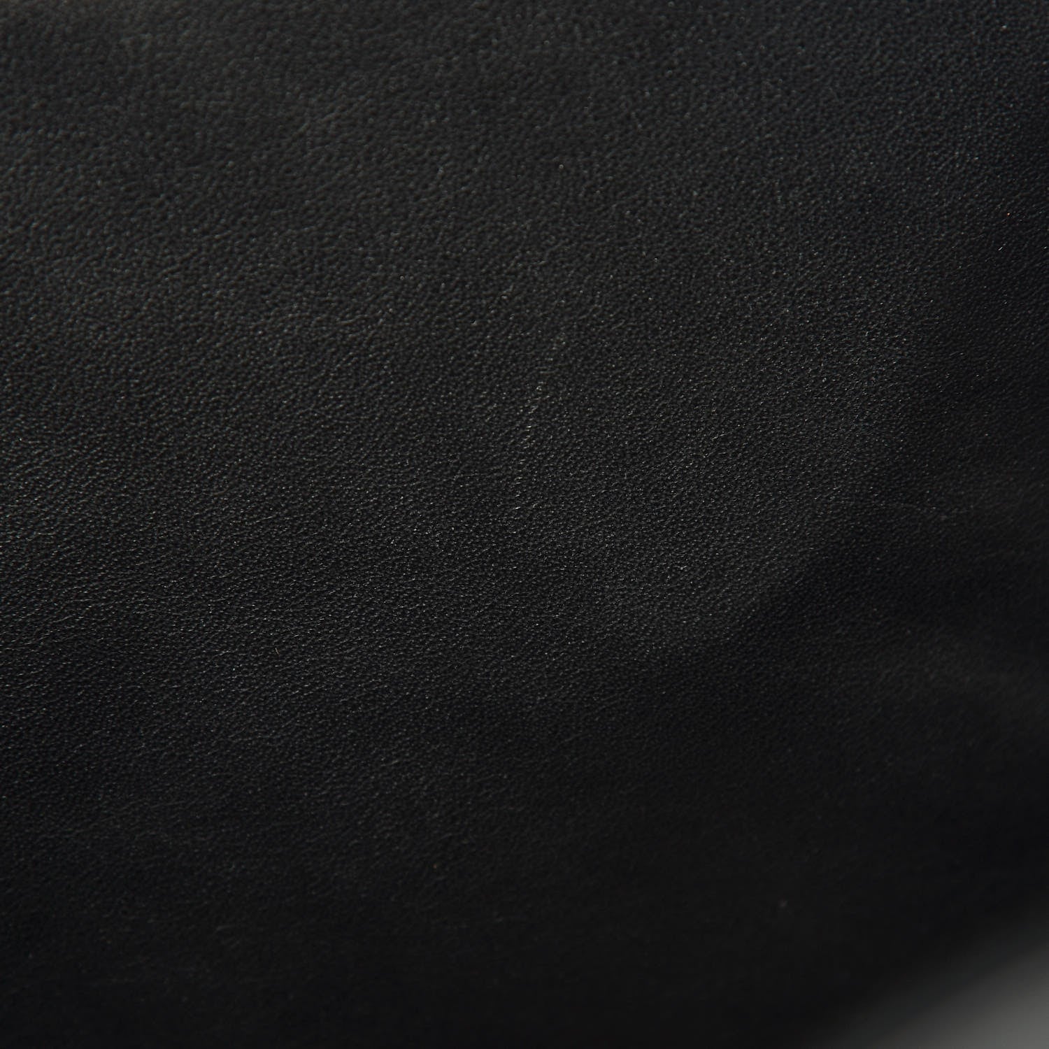 Celine Canvas Smooth Calfskin Leopard Print Mini Luggage Black 9 of 13