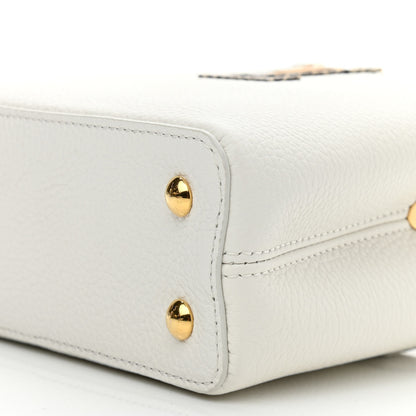 Louis Vuitton Taurillon Ayers Capucines Mini White Snow White 9 of 9