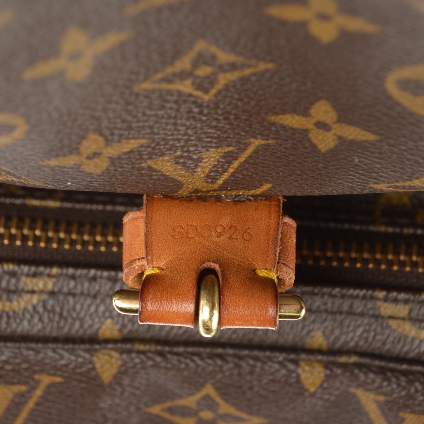 Monogram Montsouris GM Backpack