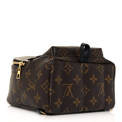 Louis Vuitton Monogram Palm Springs Backpack Mini 4 of 9