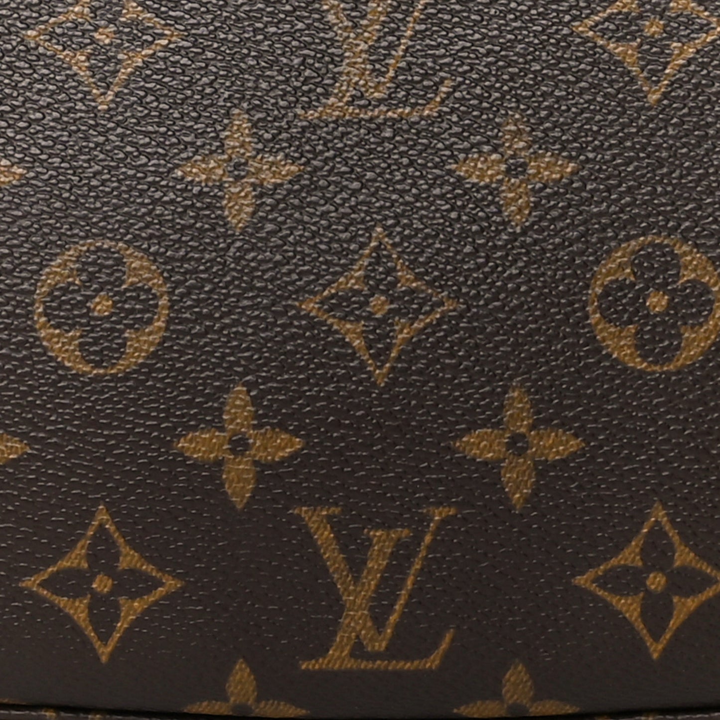 Monogram Pochette Accessories