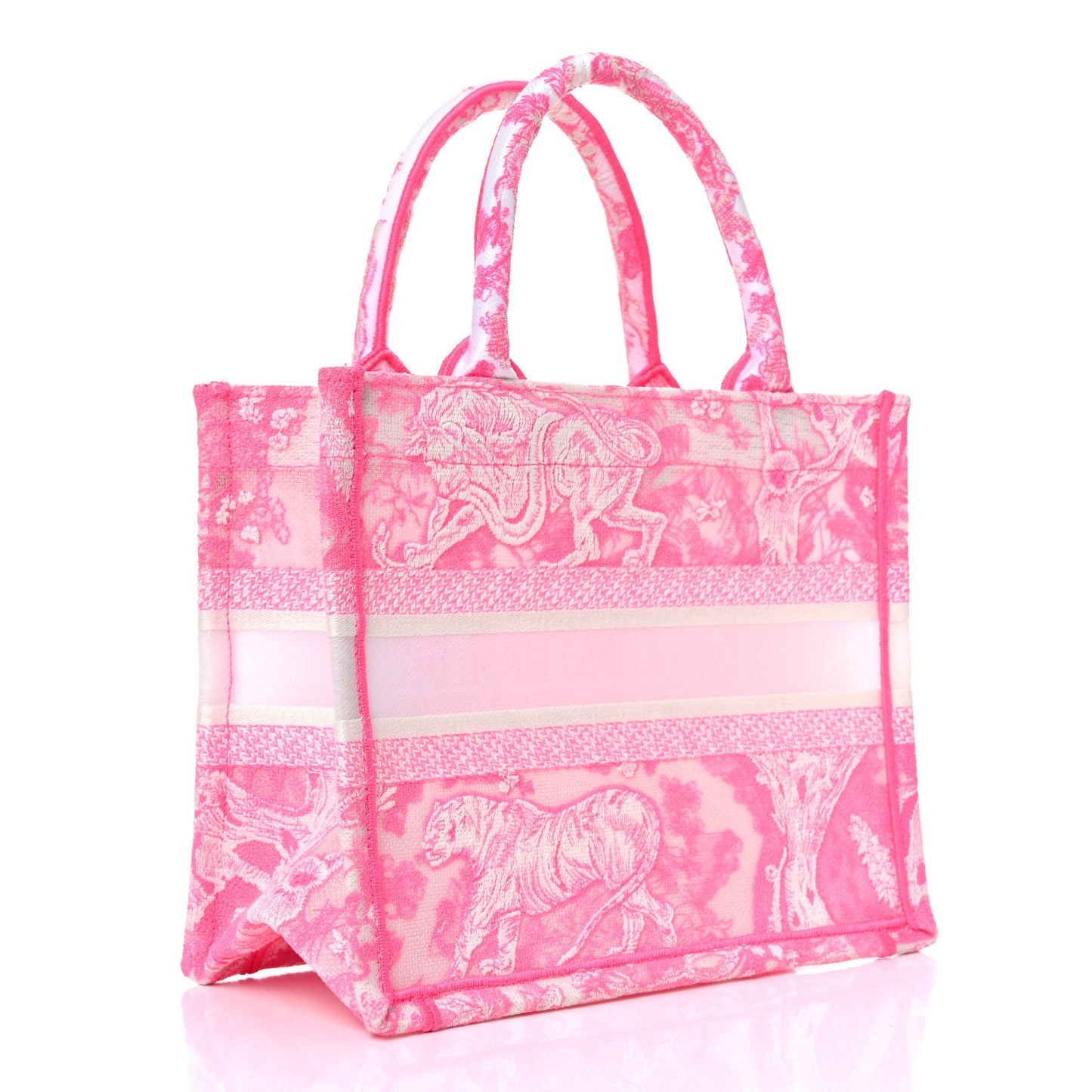 Transparent Canvas Embroidered Small Toile De Jouy Reverse Book Tote Fluorescent Pink