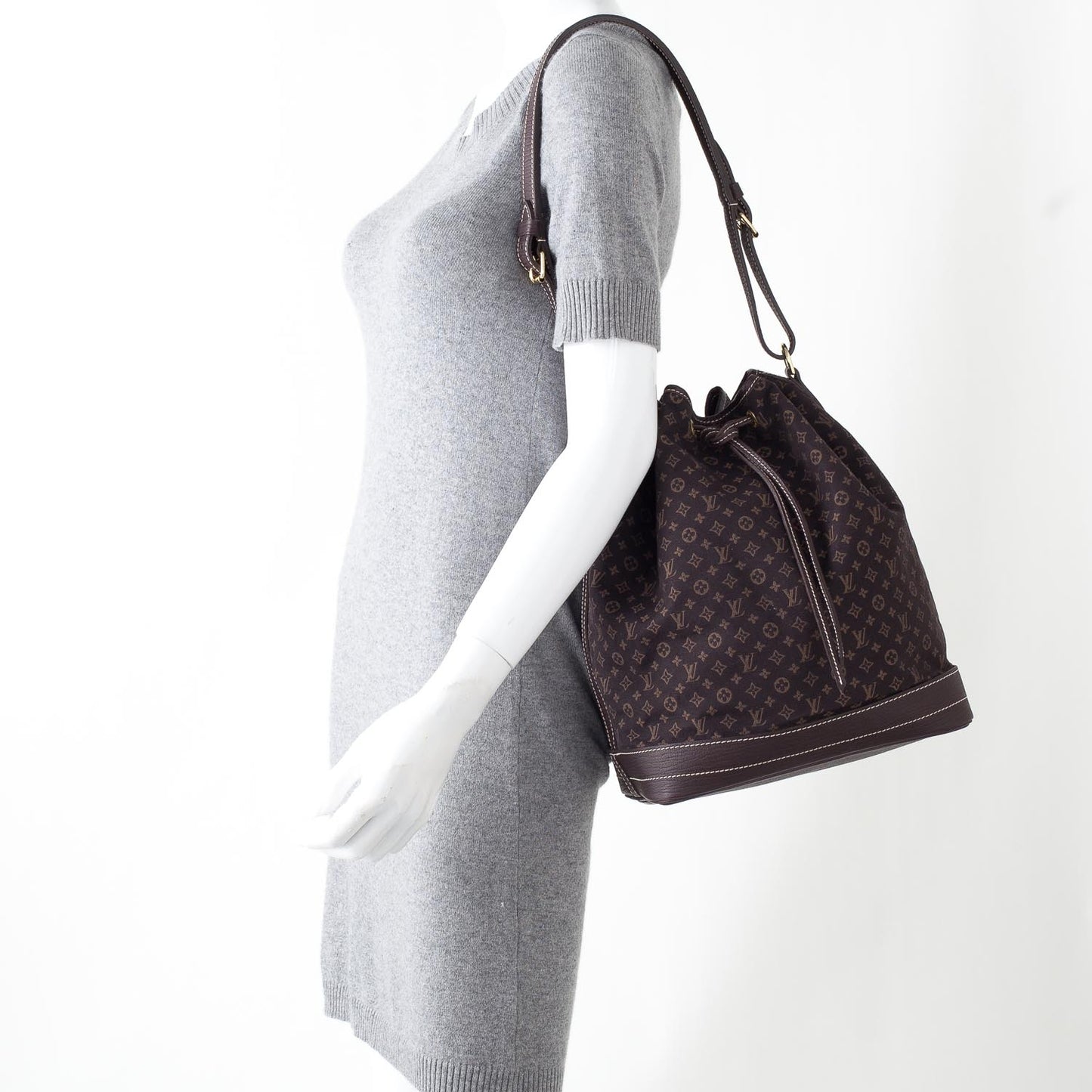 Monogram Mini Lin Noe Ebene