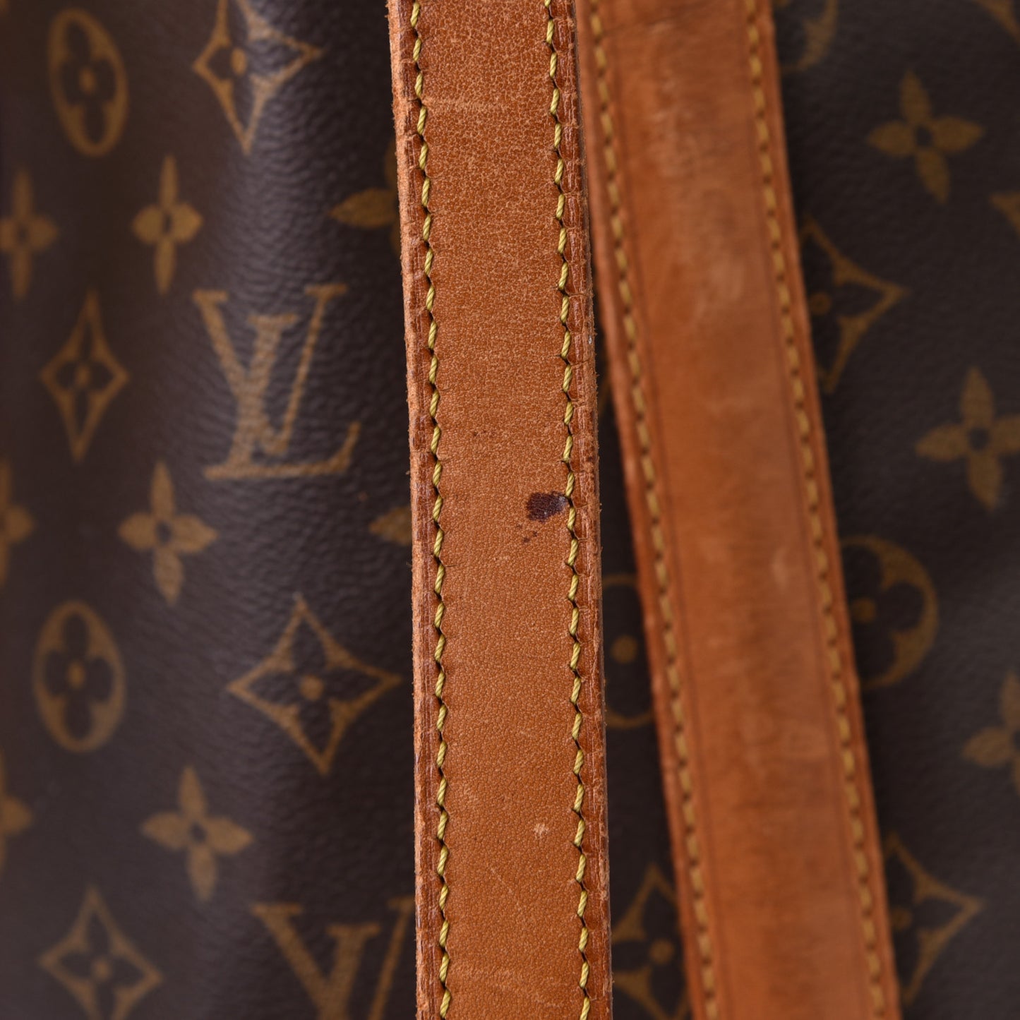Monogram Randonnee GM Backpack