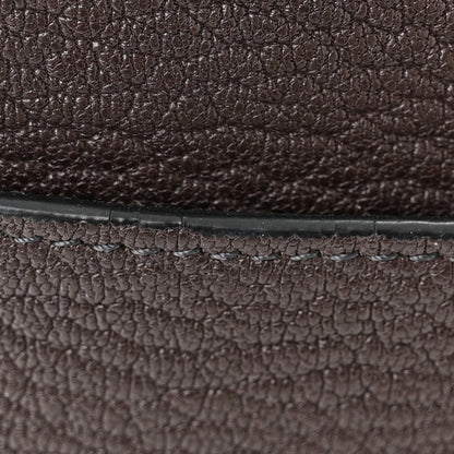 Celine Soft Grained Calfskin Sangle Bucket Bag Ecorce 13 of 13