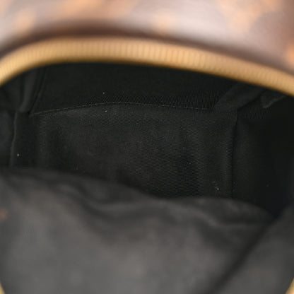 Louis Vuitton Monogram Palm Springs Backpack Mini 5 of 15