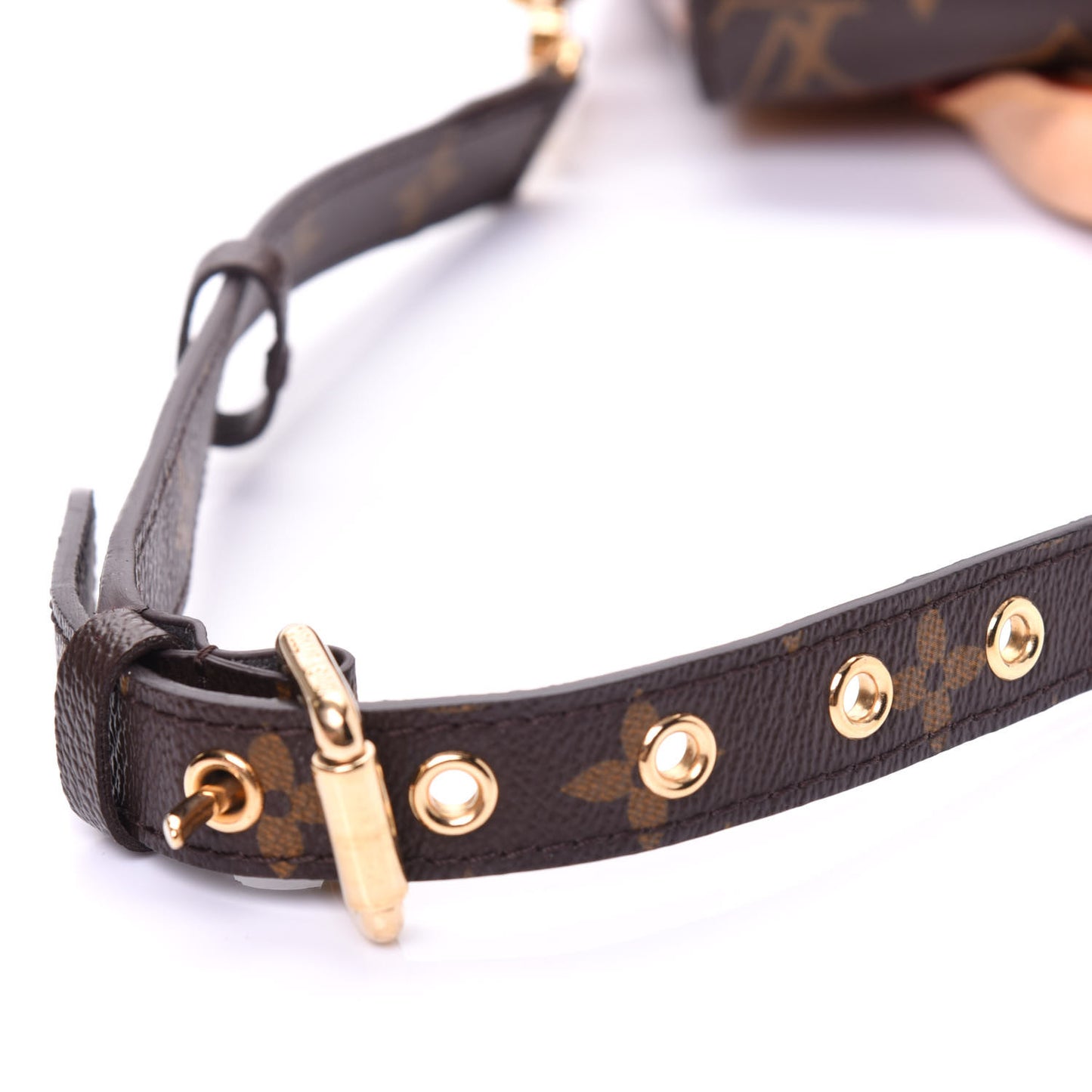 Monogram Eden PM Camel