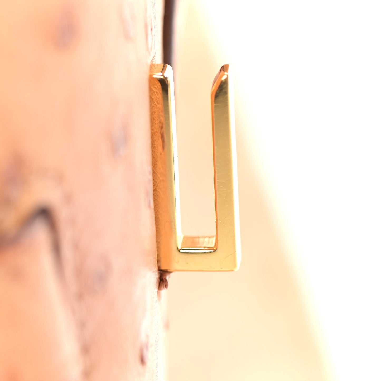 Ostrich Birkin 30 Sable