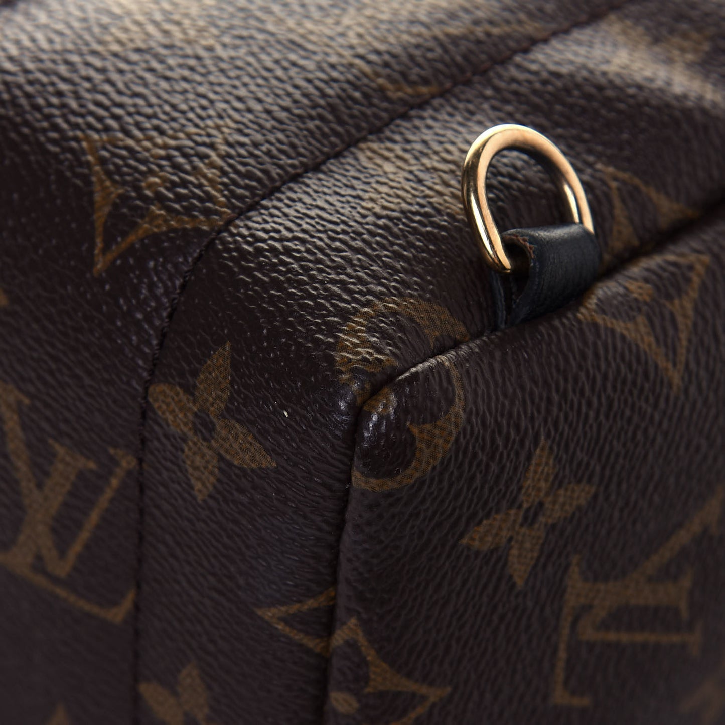 Monogram Palm Springs Backpack Mini
