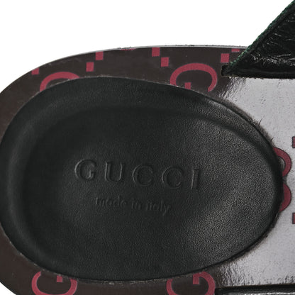 Gucci Nylon Calfskin Web GG Monogram Womens Thong Sandals 38 Green Red Cocoa 9 of 12
