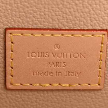Louis Vuitton Monogram Nice Mini 6 of 8