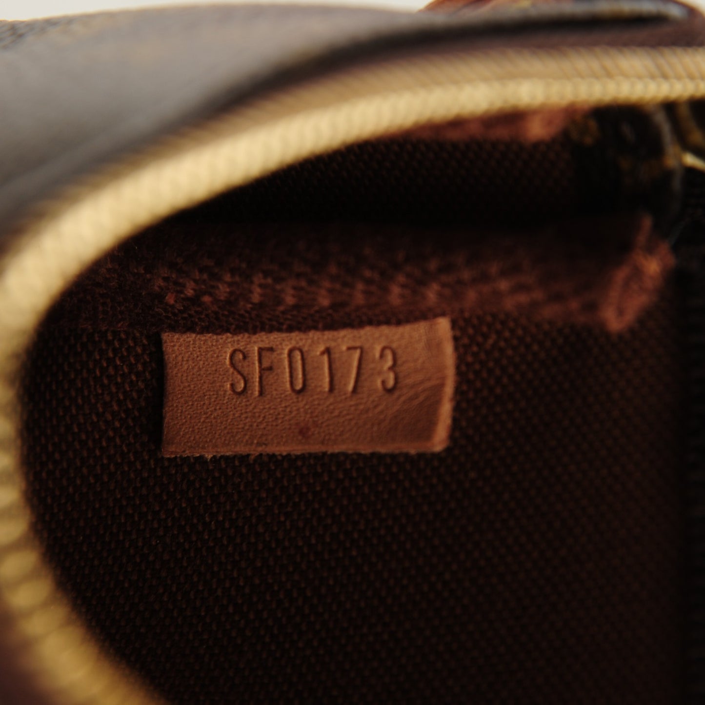 Monogram Mini Pochette Accessories