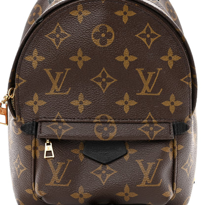 Louis Vuitton Monogram Palm Springs Backpack Mini 7 of 9