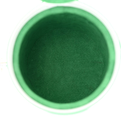 Louis Vuitton Monogram LV Paint Can Green 5 of 16