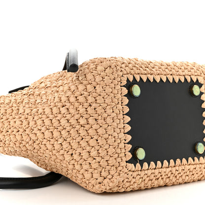 Proenza Schouler Raffia Calfskin Small Pipe Bag Sand Black 9 of 11