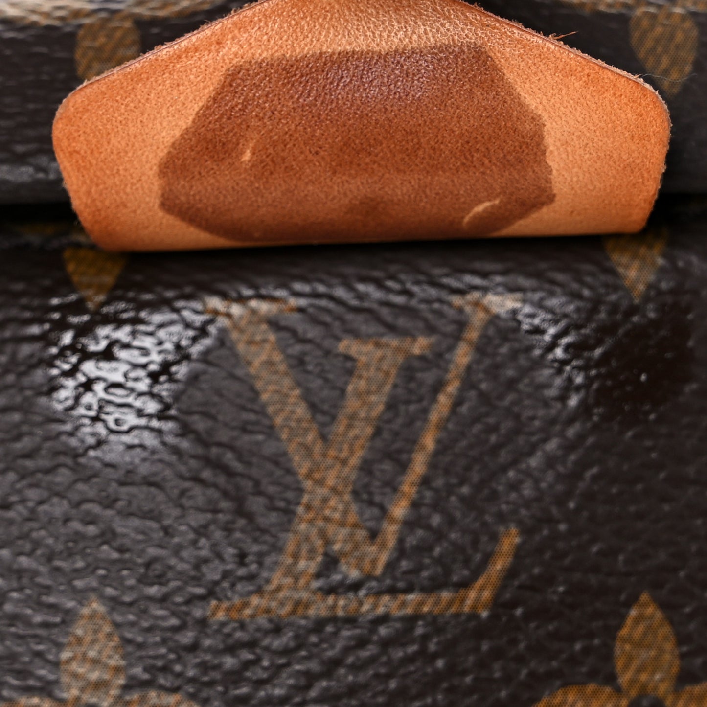 Monogram Bumbag