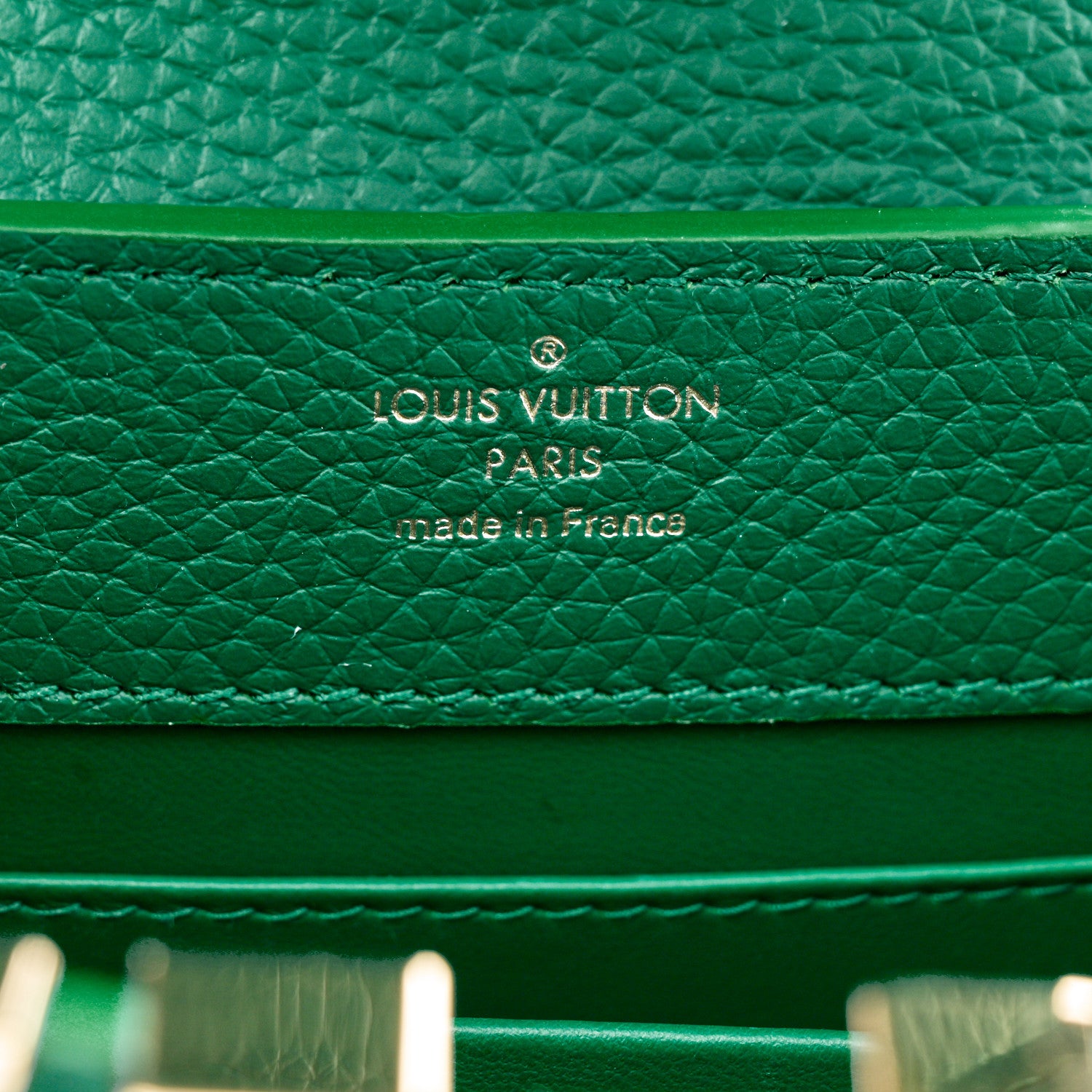 Louis Vuitton Taurillon Embellished Flower Crown Mini Capucines Green 6 of 9