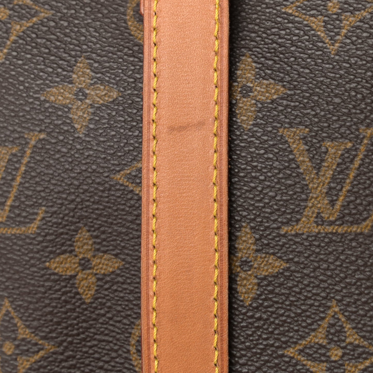 Monogram Cabas Mezzo
