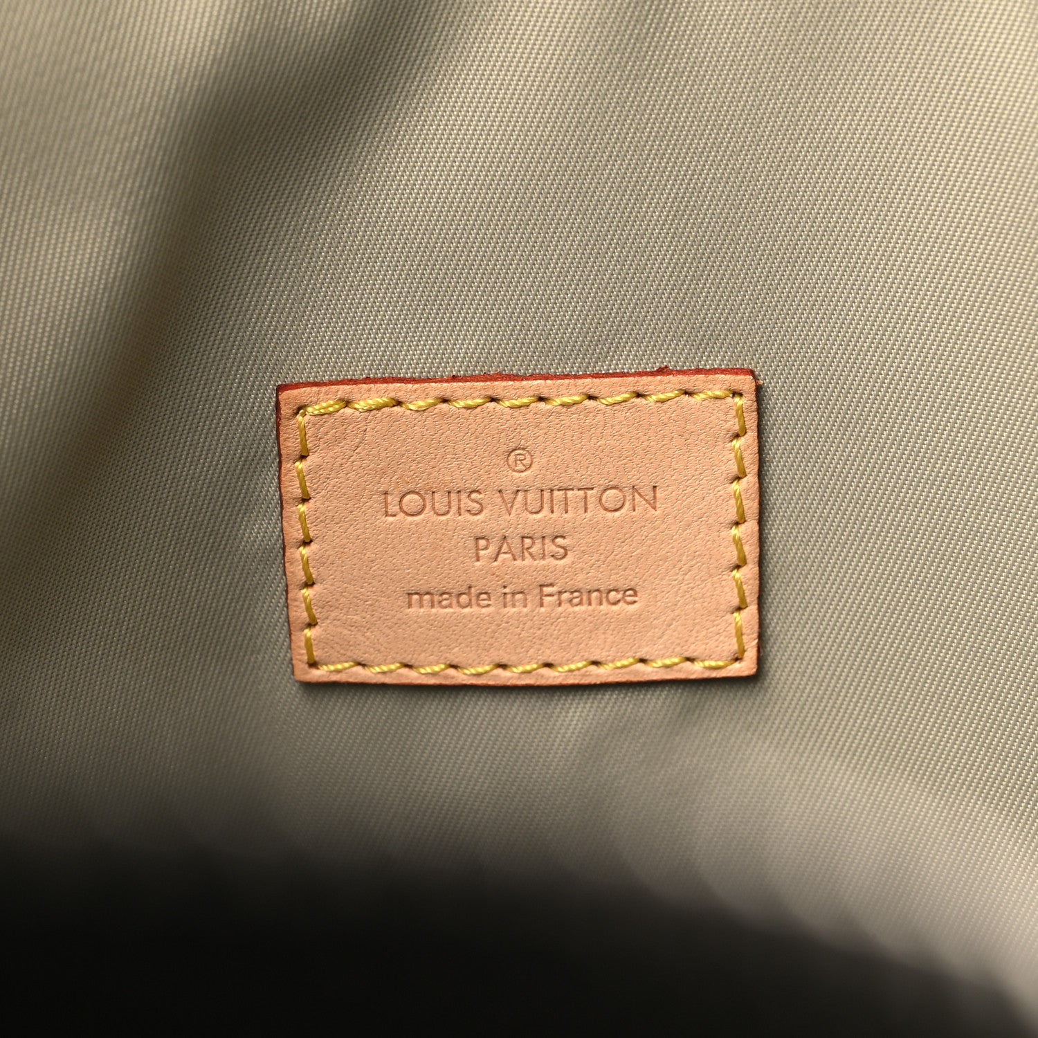 Louis Vuitton Damier Geant Albatros Terre 6 of 12