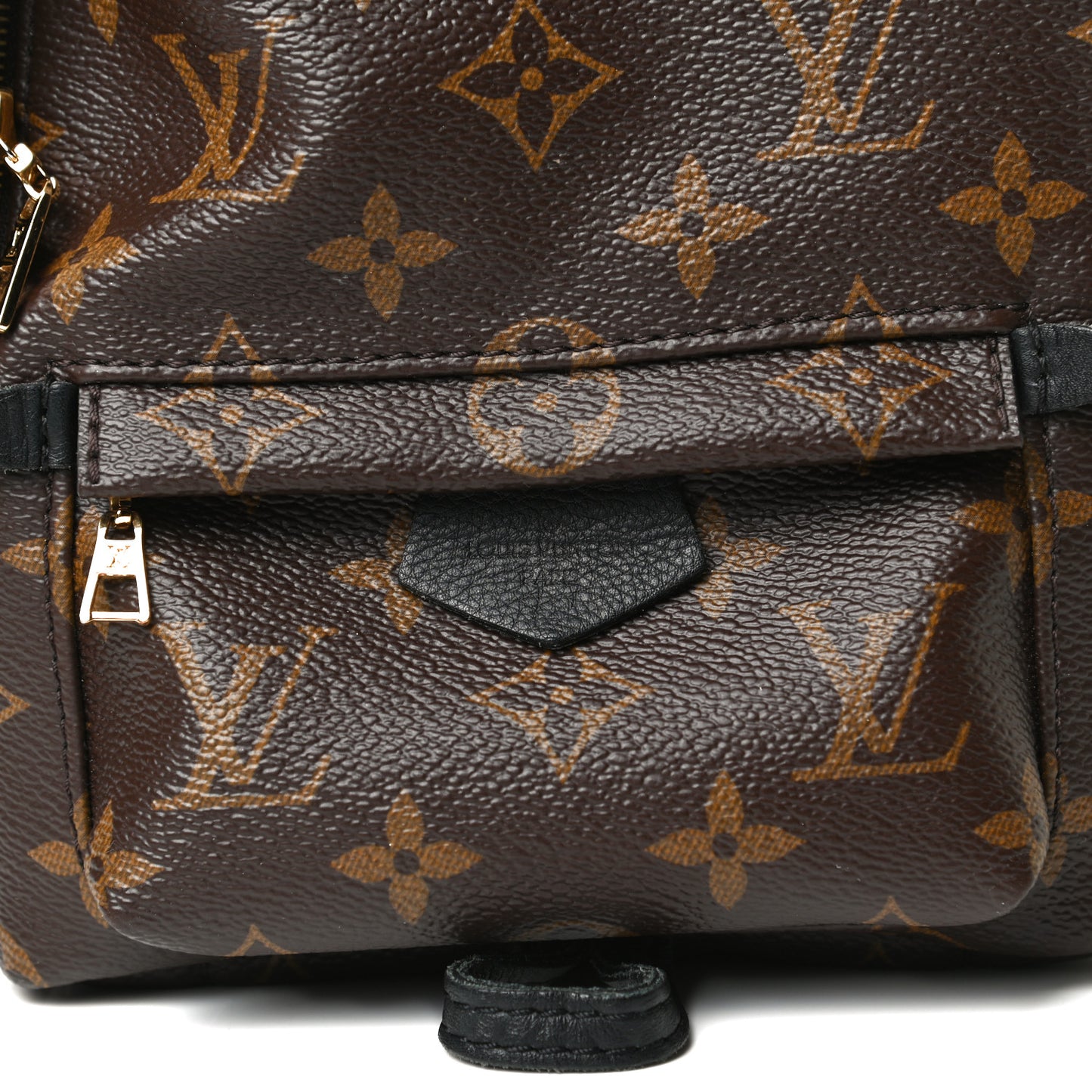 Monogram Palm Springs Backpack Mini