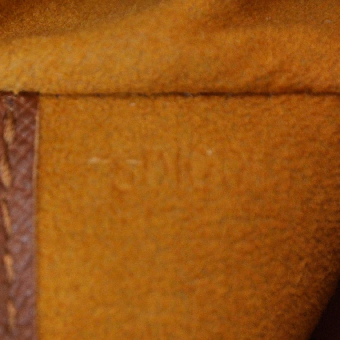 Monogram Musette Salsa