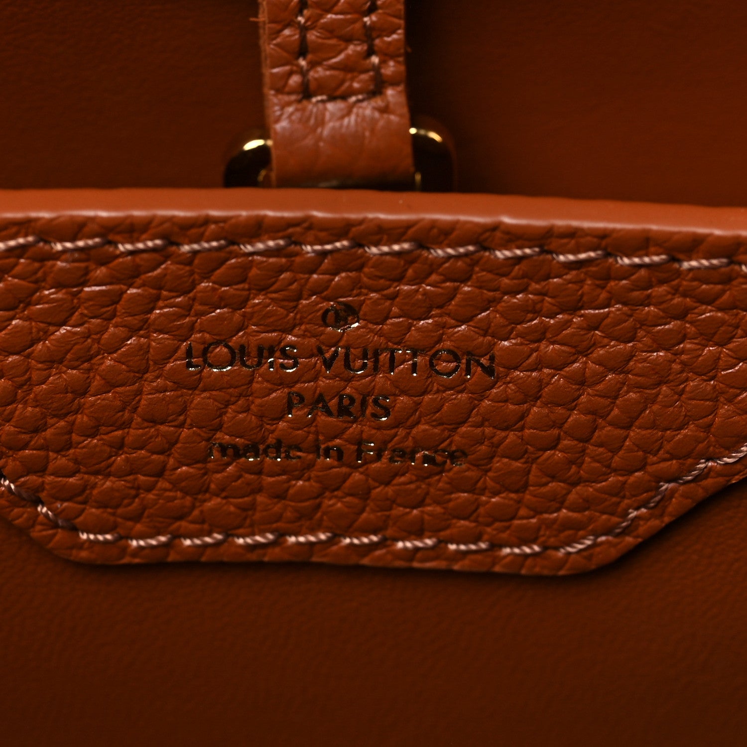 Louis Vuitton Canvas Taurillon Capucines MM Caramel 5 of 6
