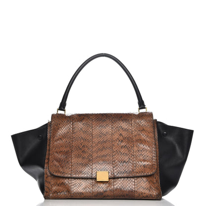 Celine Python Calfskin Large Trapeze 1 of 8