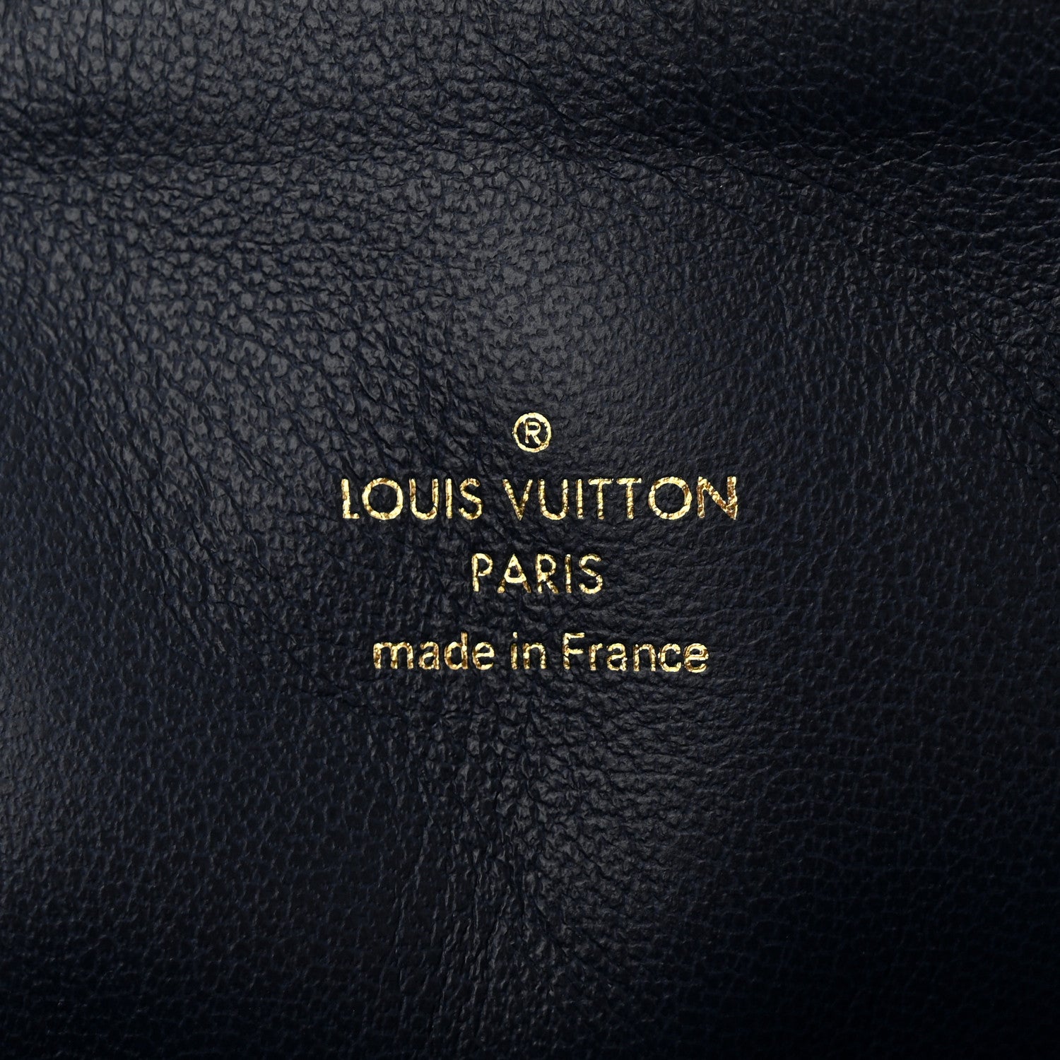 Louis Vuitton Lambskin Embossed Monogram Coussin MM Taupe 6 of 9