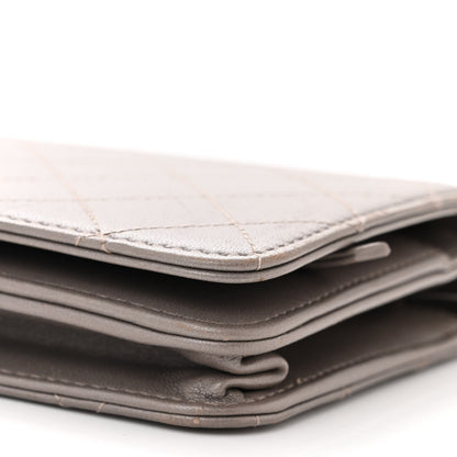 Chanel Calfskin Resin Stitched Wallet On Chain WOC Grey 11 of 13